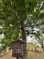 應其太神社の{uncategorized: "未分類", other: "その他", undefined: "問題あり", building: "その他建物", grave: "お墓", sacred_gate: "鳥居", guardian: "狛犬", statue: "像", buddha: "仏像", history: "歴史", nature: "自然", garden: "庭園", animal: "動物", pagoda: "塔", temizu: "手水舎", mountain_gate: "山門・神門", sanctuary: "本殿・本堂", subordinate: "末社・摂社", art: "芸術", scenery: "景色", jizo: "地蔵", ema: "絵馬", goshuin: "御朱印", omikuji: "おみくじ", items: "授与品その他", amulet: "お守り", goshuincho: "御朱印帳", eats: "食事", festival: "お祭り", votive_dance: "神楽", shichigosan: "七五三参", wedding: "結婚式", experience: "体験その他", initially: "初詣", around: "周辺", anti_infection: "感染症対策"}