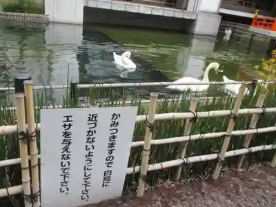 頂法寺（六角堂）(京都府)