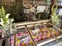 東京大神宮(東京都)