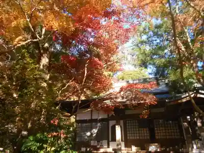 覚園寺(神奈川県)