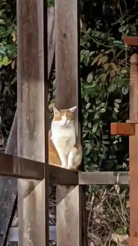 八事山 興正寺(愛知県)