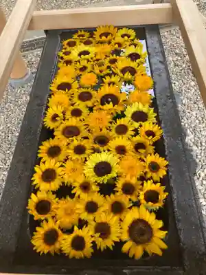 上目黒氷川神社の手水舎