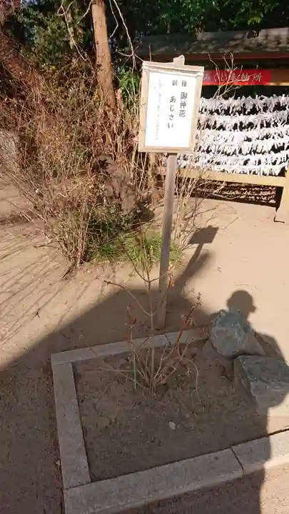 水戸八幡宮のその他建物