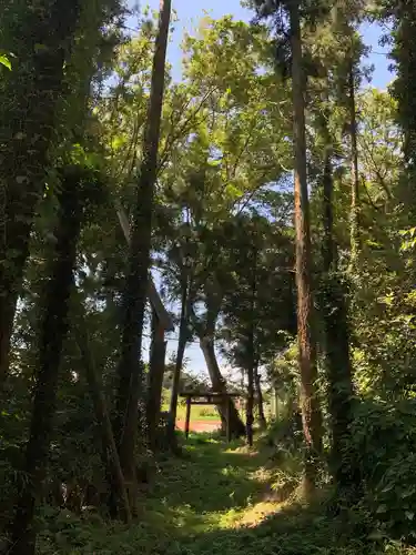 権現神社の鳥居