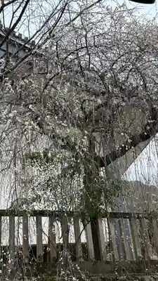 長谷寺(奈良県)