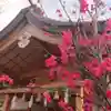 尾張大國霊神社(国府宮)の自然