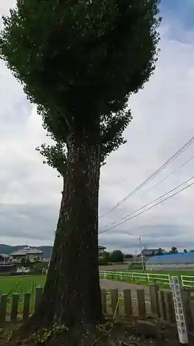 砂原阿蘇神社の周辺