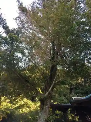 阿治古神社のその他建物