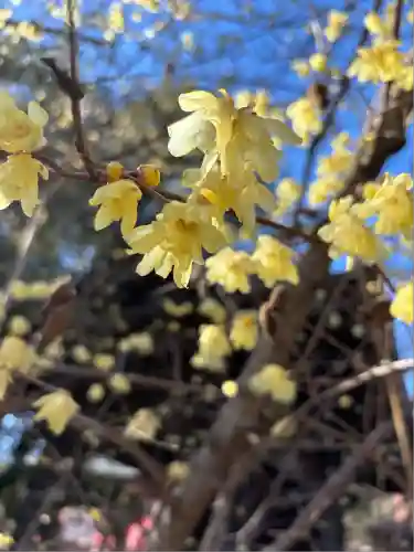 妻沼聖天山歓喜院(埼玉県)