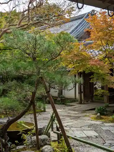 圓光寺(京都府)