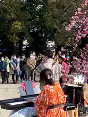 曽根天満宮の神楽