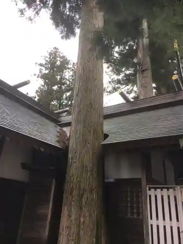 奥氷川神社のその他建物