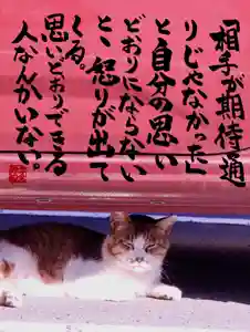 専念寺(大阪府)(2022年06月16日(木) 21時34分02秒投稿)