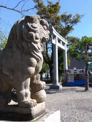 杉杜白髭神社の狛犬