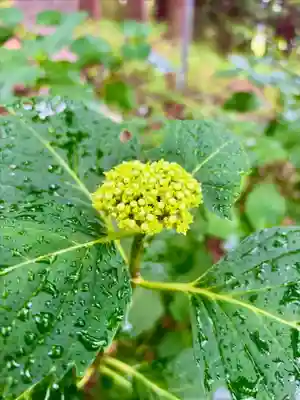 蚊里田八幡宮(長野県)