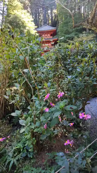 岩船寺(京都府)