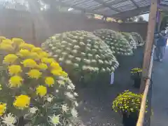 亀戸天神社の庭園