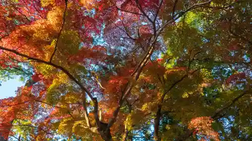 高山神社(三重県)