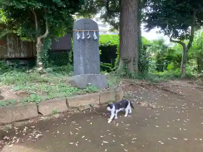 鹿島神社(笠間町)の動物