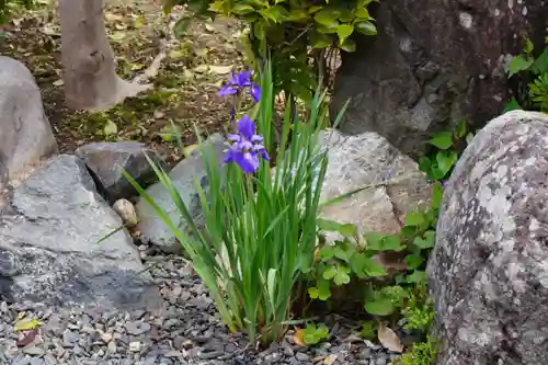 大松禅寺(京都府)