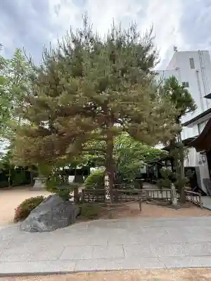 四柱神社(長野県)