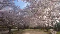 貴船神社の自然