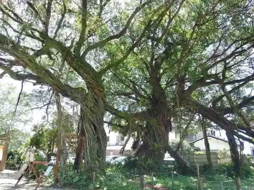 野島神社の自然