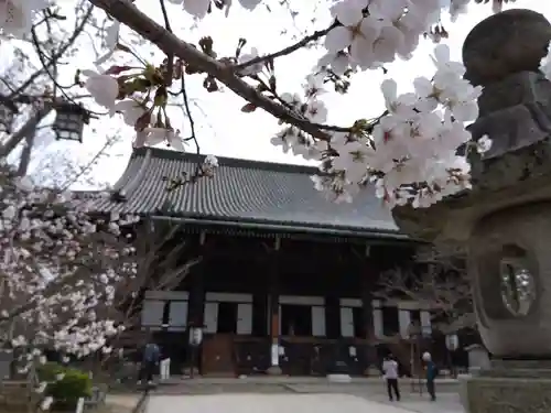 真正極楽寺（真如堂）の本殿・本堂