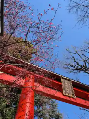 馬橋稲荷神社(東京都)