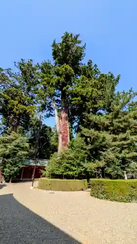 香取神宮(千葉県)