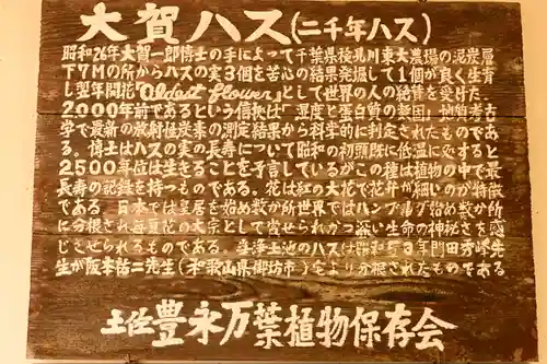 定福寺(高知県)