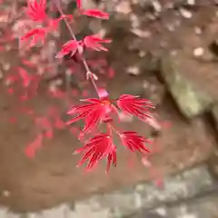 滑川神社 - 仕事と子どもの守り神の自然