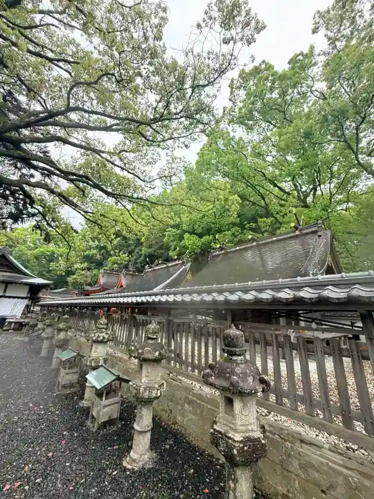 闘鶏神社の{uncategorized: "未分類", other: "その他", undefined: "問題あり", building: "その他建物", grave: "お墓", sacred_gate: "鳥居", guardian: "狛犬", statue: "像", buddha: "仏像", history: "歴史", nature: "自然", garden: "庭園", animal: "動物", pagoda: "塔", temizu: "手水舎", mountain_gate: "山門・神門", sanctuary: "本殿・本堂", subordinate: "末社・摂社", art: "芸術", scenery: "景色", jizo: "地蔵", ema: "絵馬", goshuin: "御朱印", omikuji: "おみくじ", items: "授与品その他", amulet: "お守り", goshuincho: "御朱印帳", eats: "食事", festival: "お祭り", votive_dance: "神楽", shichigosan: "七五三参", wedding: "結婚式", experience: "体験その他", initially: "初詣", around: "周辺", anti_infection: "感染症対策"}