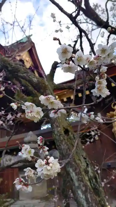 北野天満宮の自然