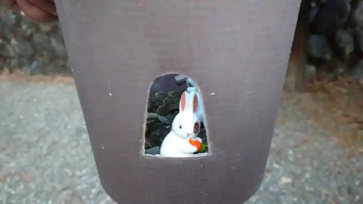 日蓮宗 総本山 塔頭 定林坊(じょうりんぼう)の狛犬