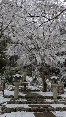 圓光寺(京都府)