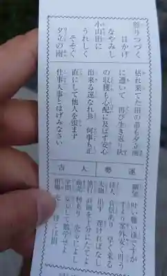 東京大神宮のおみくじ