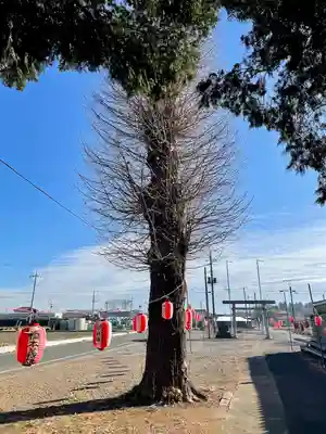 雷電神社(栃木県)