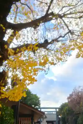 靖國神社(東京都)