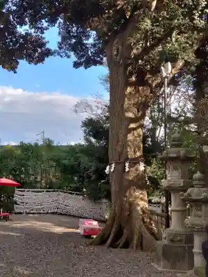 岩槻久伊豆神社のその他建物