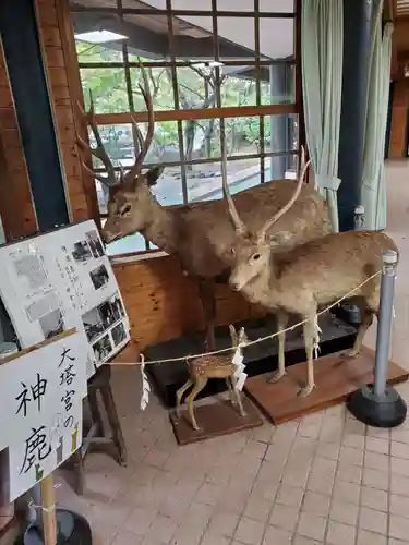 鎌倉宮のその他建物