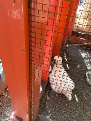 田無神社(東京都)