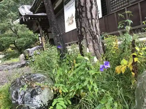 宝登山神社の自然