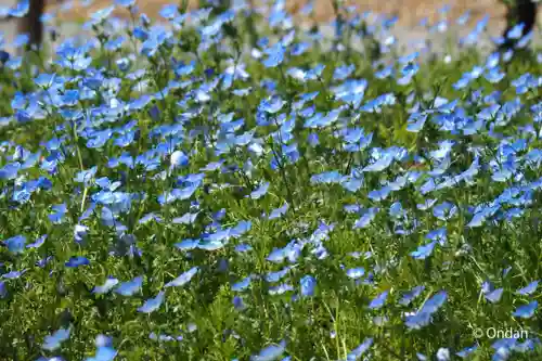 善通寺(兵庫県)