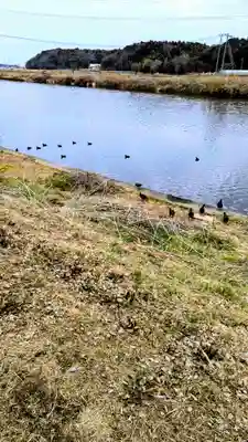 子安大明神の景色