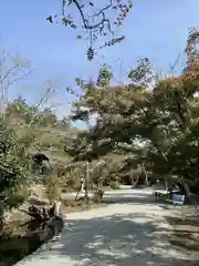 栄山寺(奈良県)