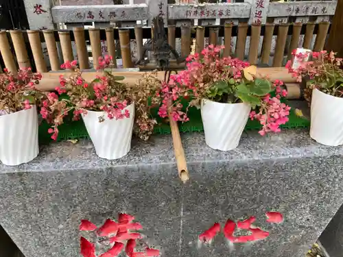 高円寺氷川神社の手水