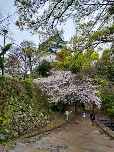 和歌山縣護國神社の{uncategorized: "未分類", other: "その他", undefined: "問題あり", building: "その他建物", grave: "お墓", sacred_gate: "鳥居", guardian: "狛犬", statue: "像", buddha: "仏像", history: "歴史", nature: "自然", garden: "庭園", animal: "動物", pagoda: "塔", temizu: "手水舎", mountain_gate: "山門・神門", sanctuary: "本殿・本堂", subordinate: "末社・摂社", art: "芸術", scenery: "景色", jizo: "地蔵", ema: "絵馬", goshuin: "御朱印", omikuji: "おみくじ", items: "授与品その他", amulet: "お守り", goshuincho: "御朱印帳", eats: "食事", festival: "お祭り", votive_dance: "神楽", shichigosan: "七五三参", wedding: "結婚式", experience: "体験その他", initially: "初詣", around: "周辺", anti_infection: "感染症対策"}