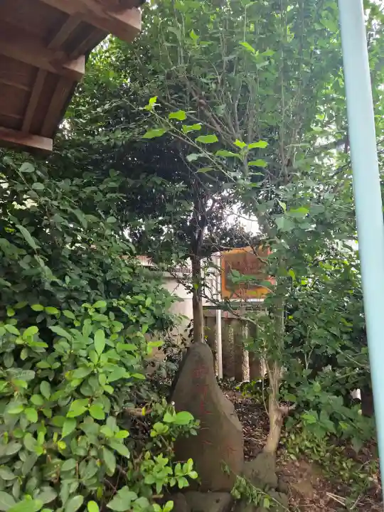 染井稲荷神社(東京都)