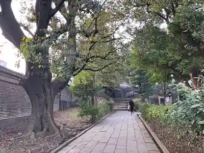 湯島聖堂のその他建物